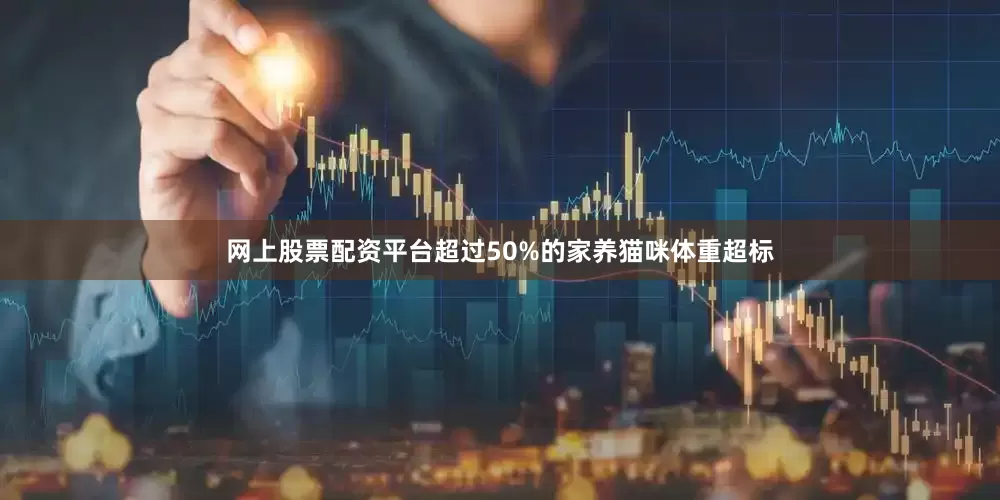 网上股票配资平台超过50%的家养猫咪体重超标