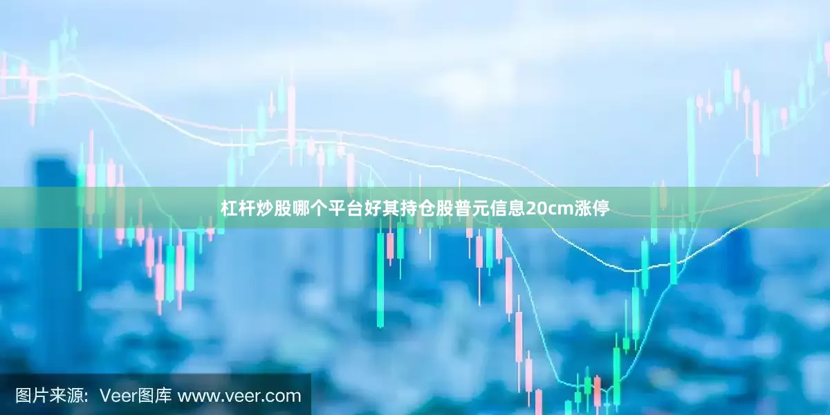 杠杆炒股哪个平台好其持仓股普元信息20cm涨停