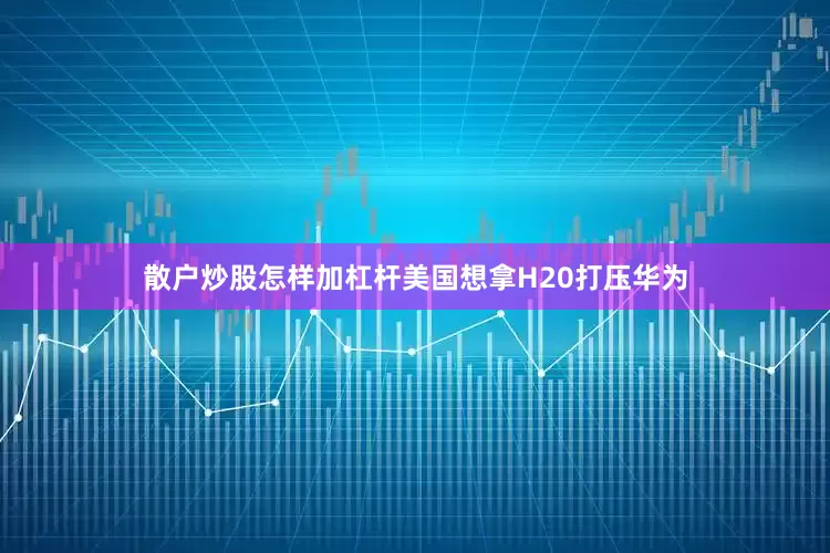 散户炒股怎样加杠杆美国想拿H20打压华为